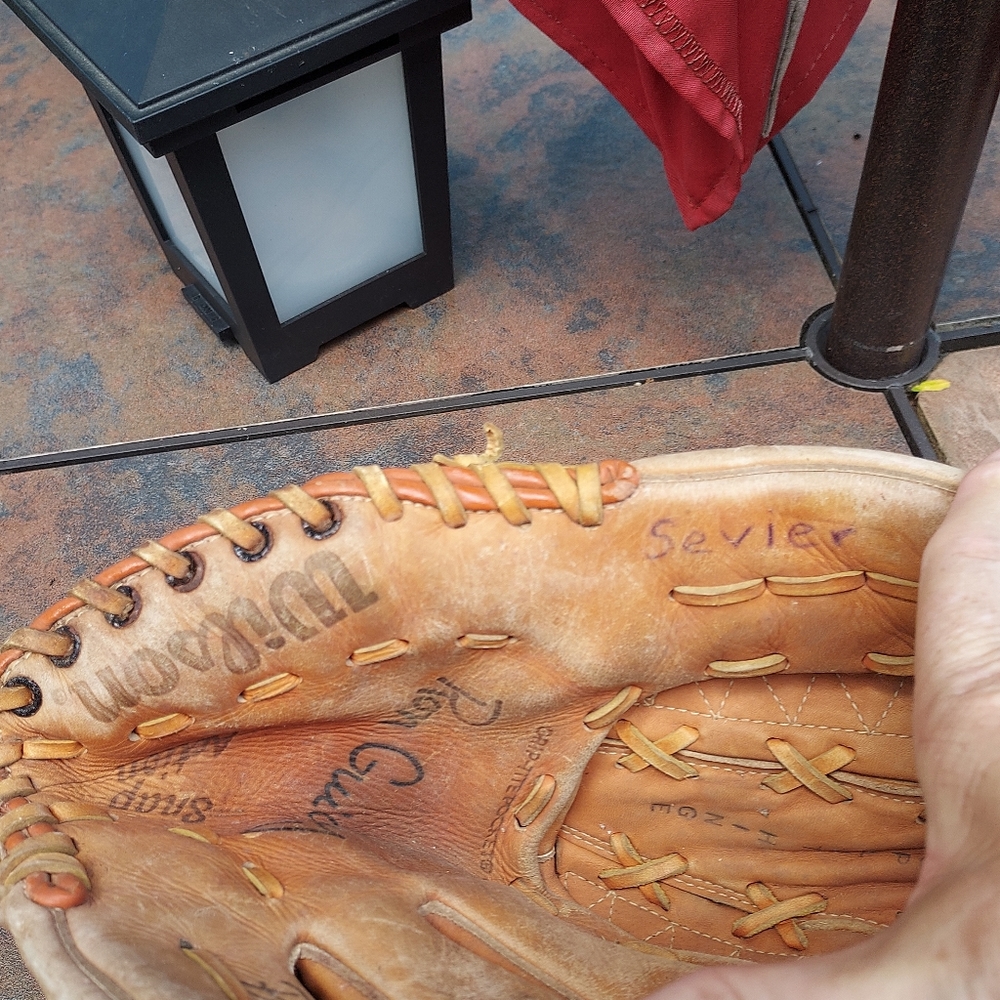 Willson ball glove
